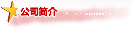 公司簡(jiǎn)介 Company Introduction