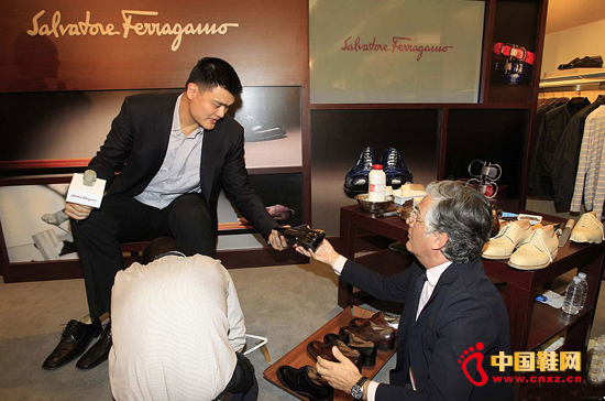 ֪��ЬƷ�ƞ�Ҧ�����_�ü�ӆ��ƤЬ