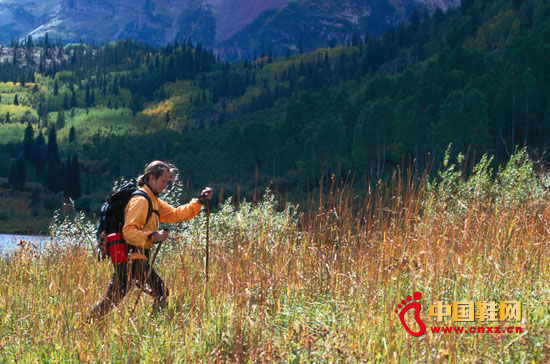 2013���Ї������\��Ʒ�������L���