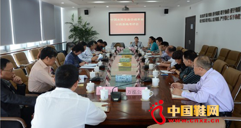 “中國水性生態(tài)合成革示范基地”專家考察組麗水行