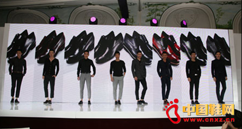 �������ЬDE VERLI�e�k2013��Ʒ�l����